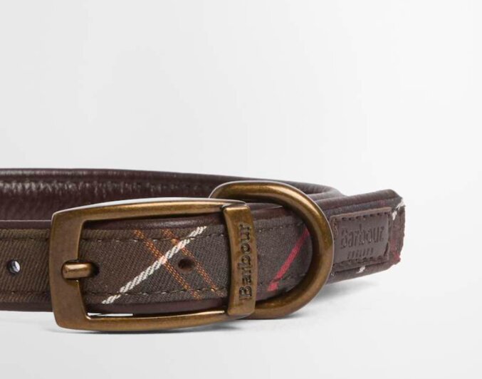 Tartan hundehalsbånd – Classic tartan